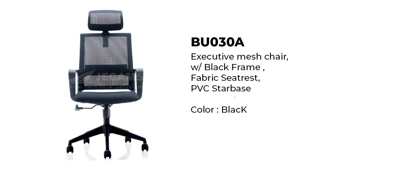 Executive Office Chair Mesh