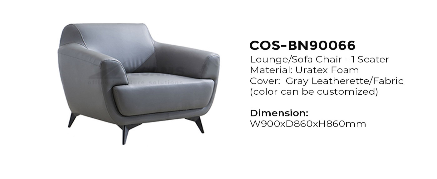 Gray Sofa